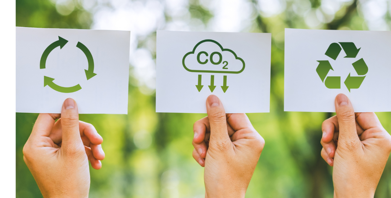 Sustainability in FMCG: From Green Commitments to Profitability